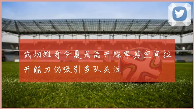 武切维奇今夏或离开绿军其空间拉开能力仍吸引多队关注